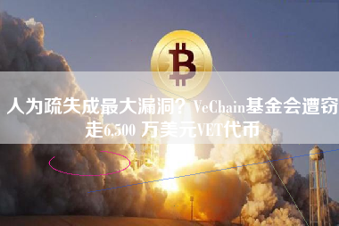 人为疏失成最大漏洞？VeChain基金会遭窃走6,500 万美元VET代币