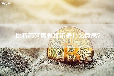 比特币延展性攻击是什么意思？